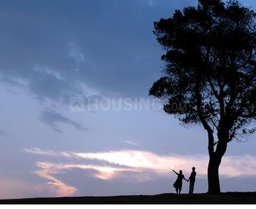 Project Image of 450.0 - 1800.0 Sq.ft Residential Plot Plot for buy in Royal Residency