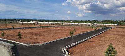 Project Images