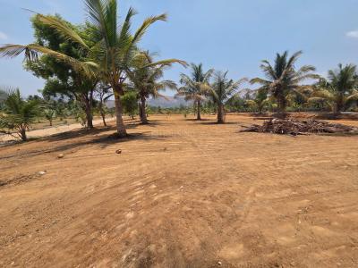Project Image of 5944.0 - 10423.0 Sq.ft Residential Plot Plot for buy in Destiny Coconut Garden