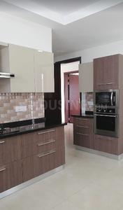 Project Images