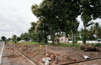 Project Image of 0.0 - 1228.7 Sq.ft Residential Plot Plot for buy in Patel New Town