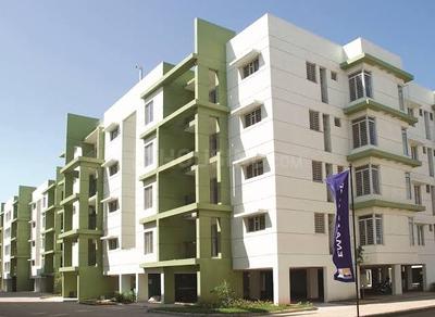 Project Image of 986.0 - 1331.0 Sq.ft 2 BHK Apartment for buy in Emaar The Avenues