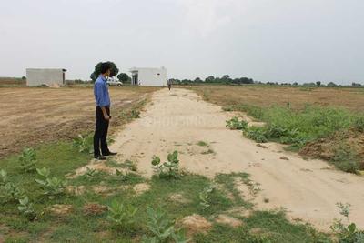 Project Image of 1080.0 - 1620.0 Sq.ft Residential Plot Plot for buy in Pyramid Royal Residency