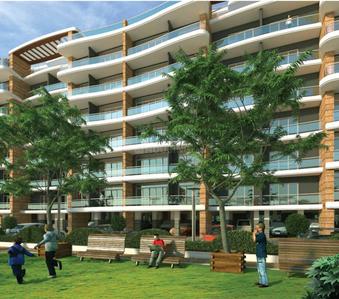 Project Image of 521.0 - 1832.0 Sq.ft 1 BHK Apartment for buy in Windsor Aralia Phase 2
