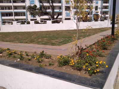 Project Images