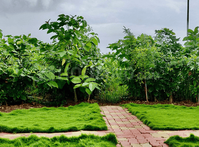 Preethi Velammal Garden Landscape Garden and Tree Planting 1