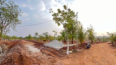 Project Image of 5717.0 - 7078.0 Sq.ft Agricultural Land Agricultural Land for buy in Swaraa