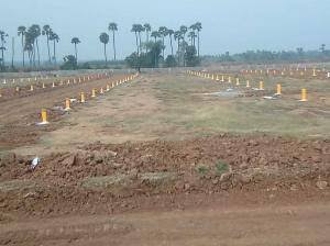 Project Image of 1302.0 - 6028.0 Sq.ft Residential Plot Plot for buy in AMR Future City