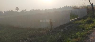 Project Image of 720.0 - 2880.0 Sq.ft Residential Plot Plot for buy in Maya Kolkata Land Complex