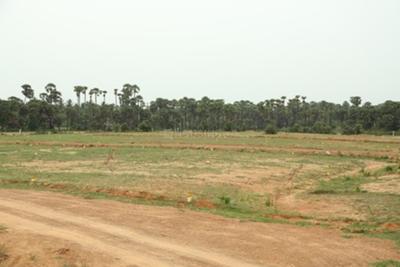 Project Image of 1077.79 - 6999.45 Sq.ft Residential Plot Plot for buy in Swathi Neeladri Township