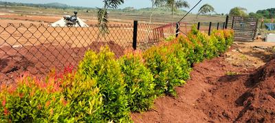 Project Image of 1557.0 - 6624.0 Sq.ft Residential Plot Plot for buy in Landmark West City Grand