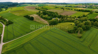Project Image of 5971.6 - 20954.97 Sq.ft Residential Plot Plot for buy in Geown Northwinds