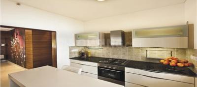 Project Images