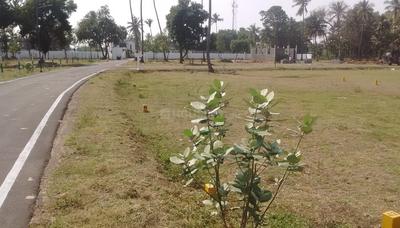 Project Image of 600.0 - 5000.0 Sq.ft Residential Plot Plot for buy in Premier Green Garden