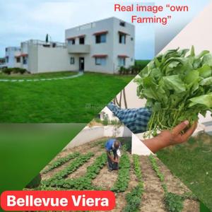 Davda Bellevue Vieraaa Amenities 4