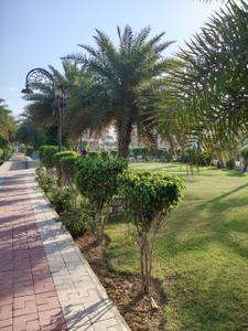 Project Image of 548.0 - 3548.0 Sq.ft Residential Plot Plot for buy in Pride Avenue Haridwar