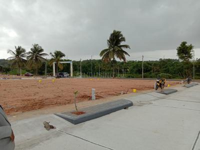 Project Images