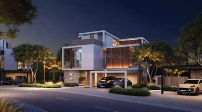 Project Images