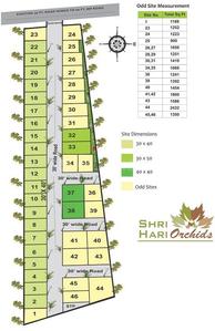 Project Image of 1200.0 - 1600.0 Sq.ft Residential Plot Plot for buy in S And S Sri Hari Orchids