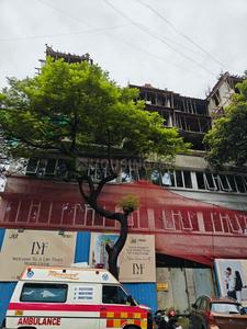Project Image of 209.36 - 729.0 Sq.ft 1 RK Apartment for buy in Divya Rewa Estate