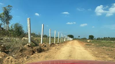 Project Image of 5178.0 - 11433.0 Sq.ft Residential Plot Plot for buy in PK Mango Nest Farmlands