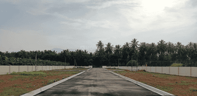 Project Images