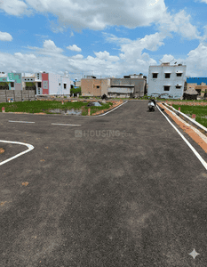 Project Images