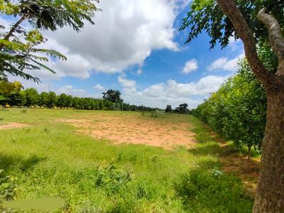Project Image of 1323.0 - 2790.0 Sq.ft Residential Plot Plot for buy in Gayathri Emerald City
