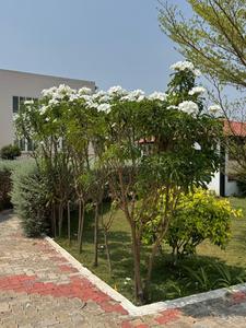 Project Image of 579.0 - 2455.0 Sq.ft Residential Plot Plot for buy in Archadius Enclave