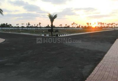 Project Image of 600.0 - 4800.0 Sq.ft Residential Plot Plot for buy in Accord Ranch City