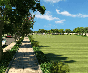 Project Images