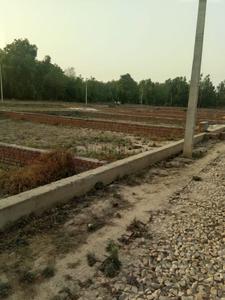 Project Images