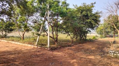 Project Image of 1350.0 - 3600.0 Sq.ft Residential Plot Plot for buy in Propview Archana Diamond