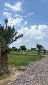Project Image of 990.0 - 1800.0 Sq.ft Residential Plot Plot for buy in Atharv City
