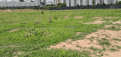 Project Image of 1161.0 - 1467.0 Sq.ft 3 BHK Apartment for buy in Mana Verdant Terraces