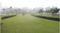 Emaar Marbella Phase 2 Landscape Garden and Tree Planting 1