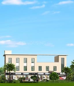 Project Image of 895.99 - 1131.39 Sq.ft 3 BHK Apartment for buy in Ozone GSP Divine Homes