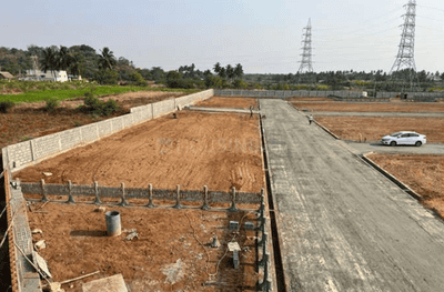 Project Images