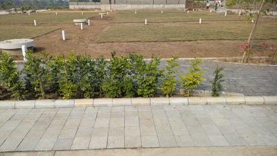 Project Image of 1300.0 - 3788.0 Sq.ft Residential Plot Plot for buy in Shree Dream Land 2