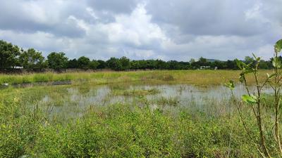 Ramamurthi Nagar Plot 1