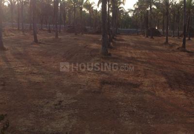 Gallery Cover Pic of Sobha Estate