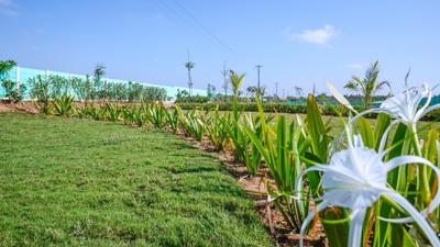 Project Image of 1800.0 - 2400.0 Sq.ft Residential Plot Plot for buy in Ananda Bhavani Nagar
