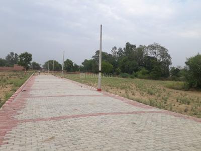 Project Images