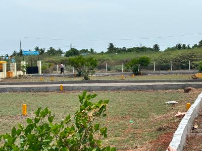Project Image of 700.0 - 1800.0 Sq.ft Residential Plot Plot for buy in RBS Vetri Avenue