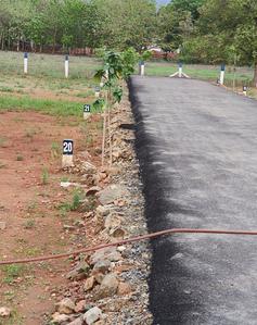 Project Images