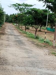 Project Image of 435.5 - 3825.0 Sq.ft Residential Plot Plot for buy in Vetri Avenue