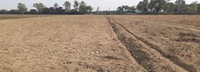 Anam Valley Elevation 3