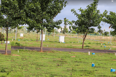 Project Image of 0.0 - 1200.0 Sq.ft Residential Plot Plot for buy in Ashwasurya AR Beryle