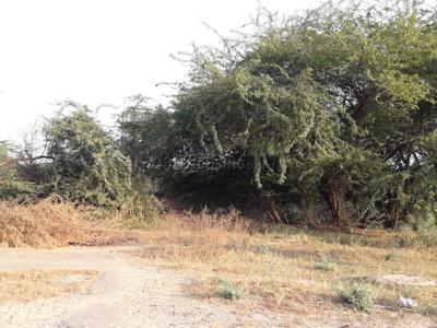 Project Image of 1692.0 - 2700.0 Sq.ft Residential Plot Plot for buy in Jaypee Country Homes 2