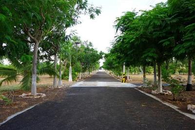Palm Meadows Internal Roads 1
